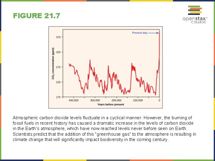 FIGURE 21. 7 Atmospheric carbon dioxide levels fluctuate in a cyclical manner. However, the