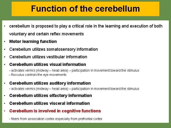 Function of the cerebellum • cerebellum is proposed to play a critical role in