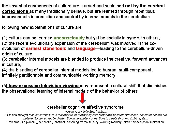 the essential components of culture are learned and sustained not by the cerebral cortex