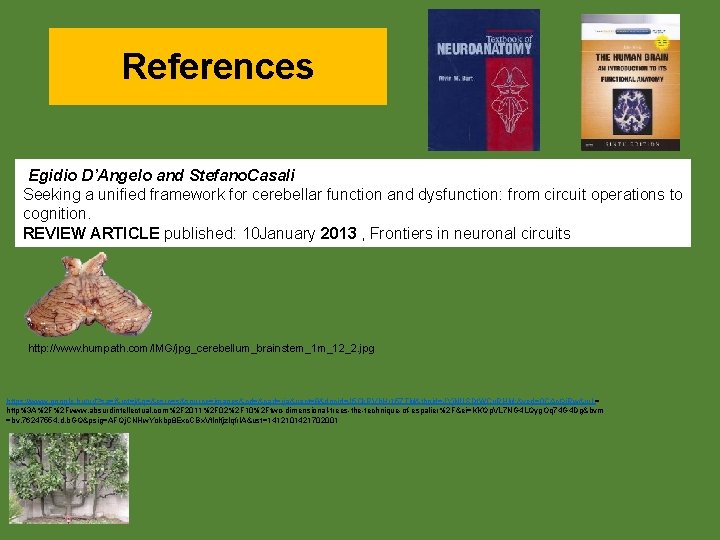 References Egidio D’Angelo and Stefano. Casali Seeking a unified framework for cerebellar function and