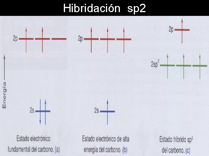 Hibridación sp 2 