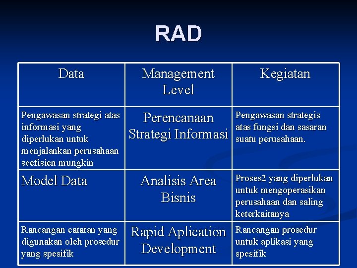 RAD Data Management Level Pengawasan strategi atas informasi yang diperlukan untuk menjalankan perusahaan seefisien