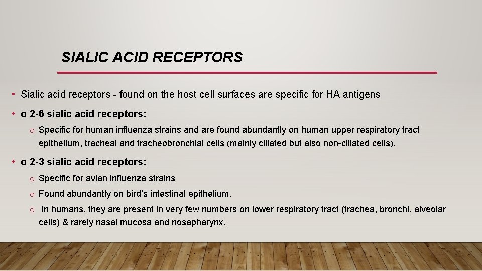 SIALIC ACID RECEPTORS • Sialic acid receptors - found on the host cell surfaces