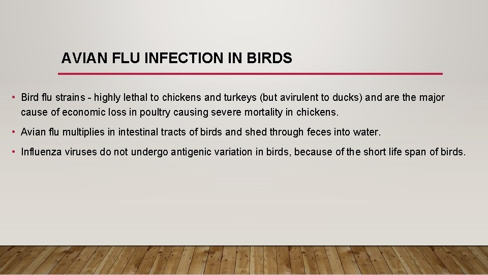 AVIAN FLU INFECTION IN BIRDS • Bird flu strains - highly lethal to chickens