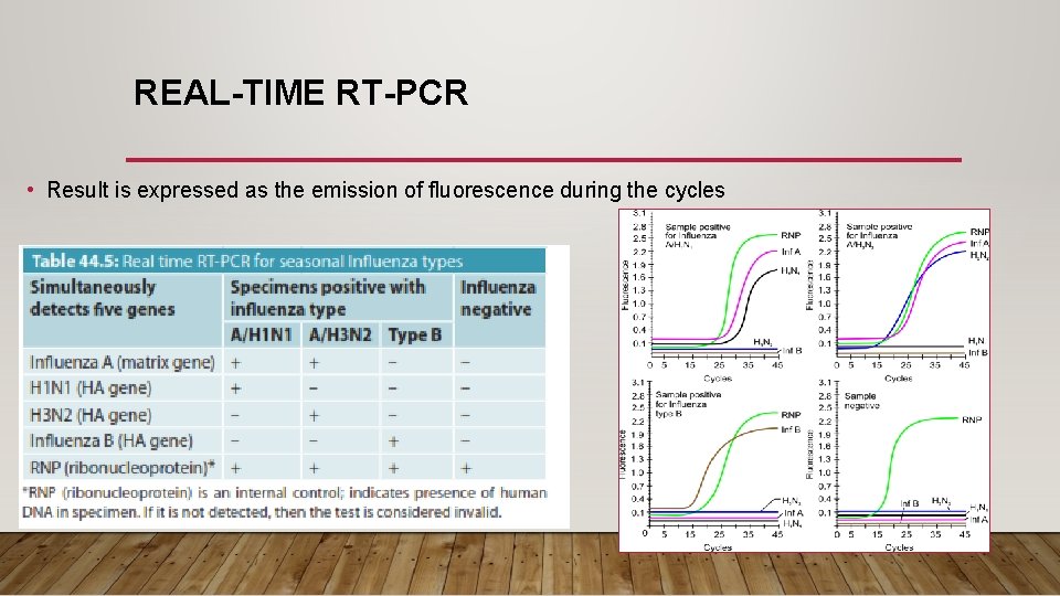 REAL-TIME RT-PCR • Result is expressed as the emission of fluorescence during the cycles