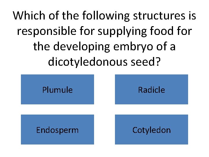 Which of the following structures is responsible for supplying food for the developing embryo