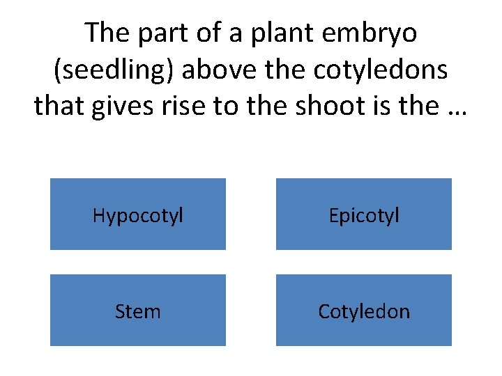 The part of a plant embryo (seedling) above the cotyledons that gives rise to