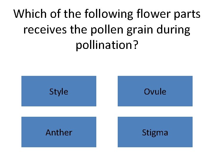 Which of the following flower parts receives the pollen grain during pollination? Style Ovule