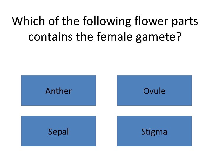 Which of the following flower parts contains the female gamete? Anther Ovule Sepal Stigma