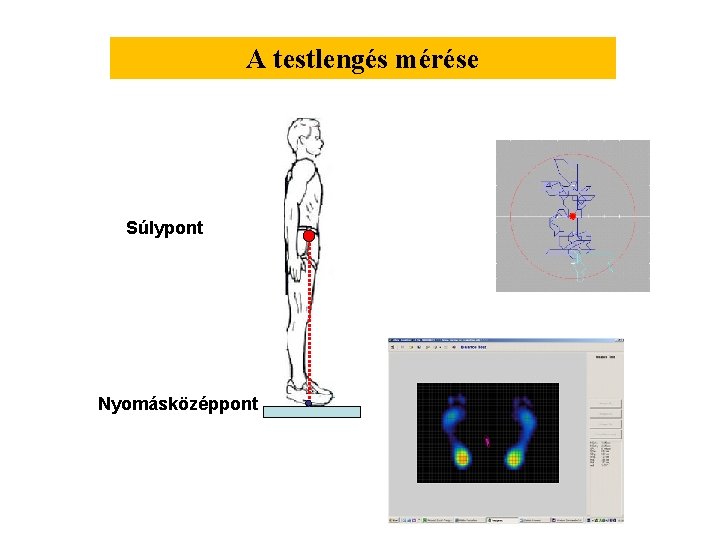 A testlengés mérése Súlypont Nyomásközéppont 
