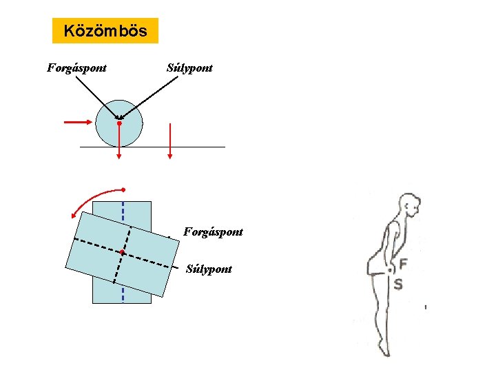 Közömbös Forgáspont Súlypont 