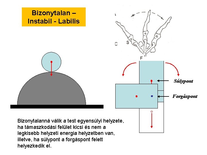 Bizonytalan – Instabil - Labilis Súlypont Forgáspont Bizonytalanná válik a test egyensúlyi helyzete, ha