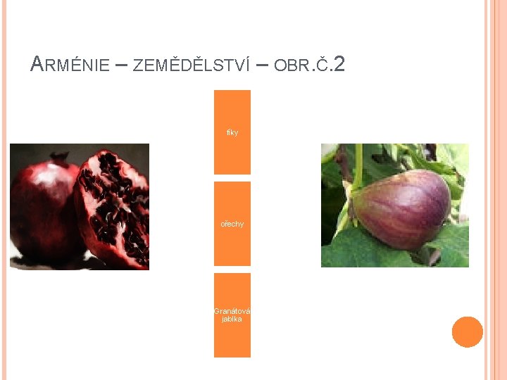 ARMÉNIE – ZEMĚDĚLSTVÍ – OBR. Č. 2 fíky ořechy Granátová jablka 
