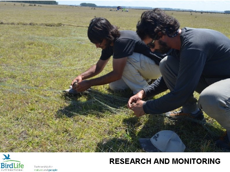 RESEARCH AND MONITORING 