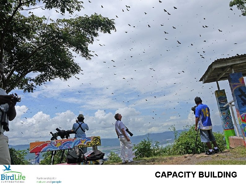 CAPACITY BUILDING 