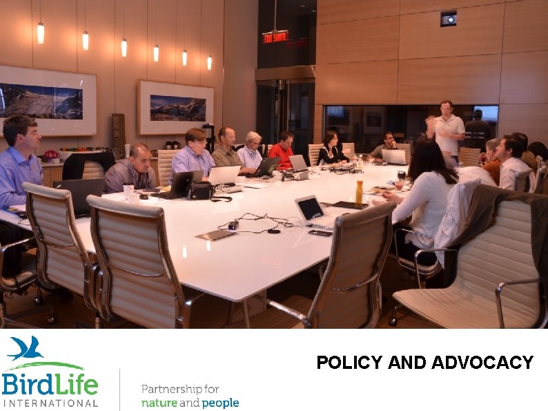 POLICY AND ADVOCACY 