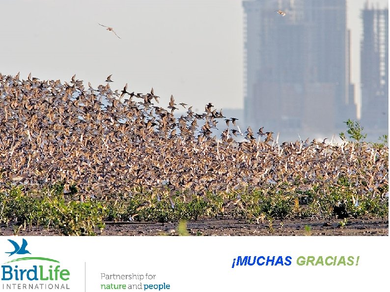 ¡MUCHAS GRACIAS! 