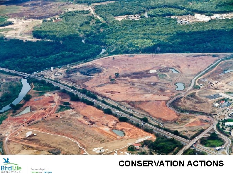 CONSERVATION ACTIONS 