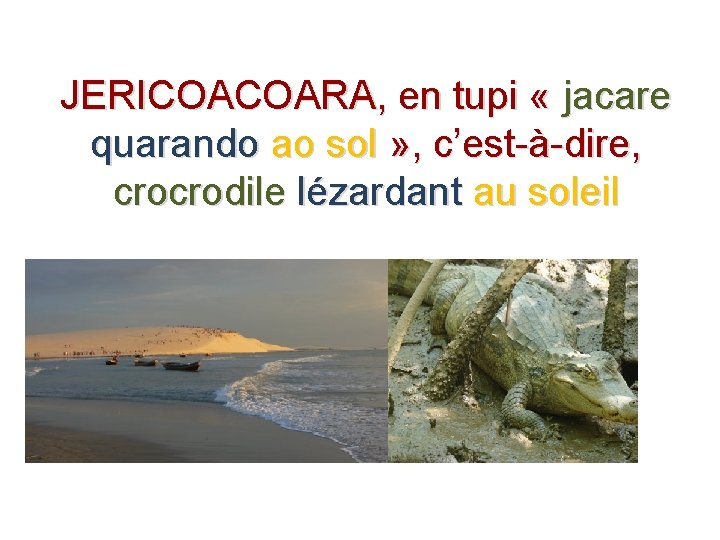 JERICOACOARA, en tupi « jacare quarando ao sol » , c’est-à-dire, crocrodile lézardant au