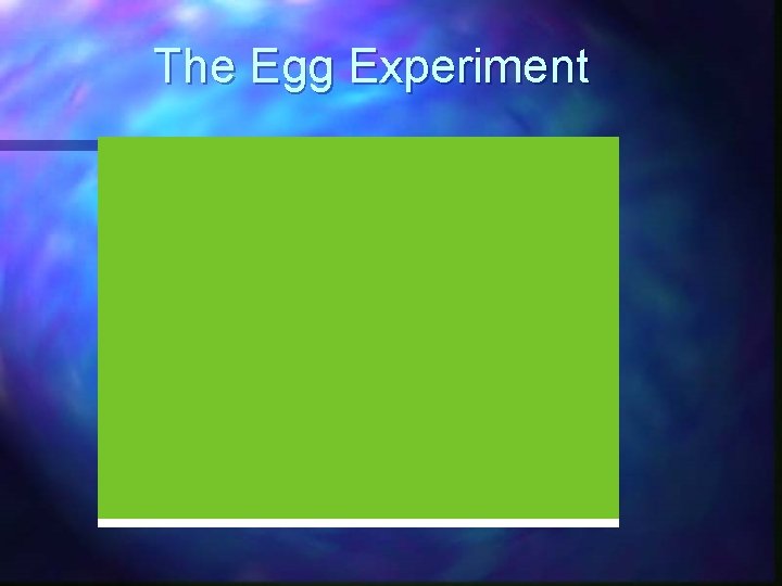 The Egg Experiment 