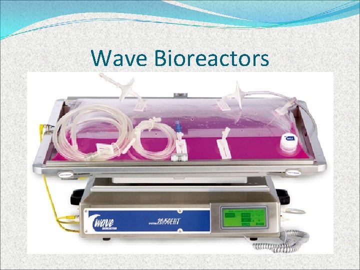 Wave Bioreactors 