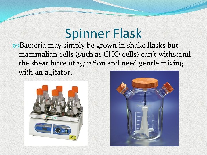 Spinner Flask Bacteria may simply be grown in shake flasks but mammalian cells (such