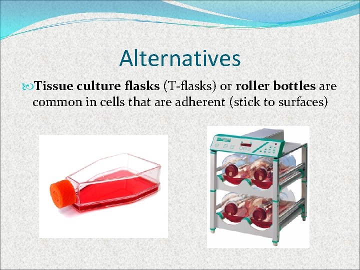 Alternatives Tissue culture flasks (T-flasks) or roller bottles are common in cells that are