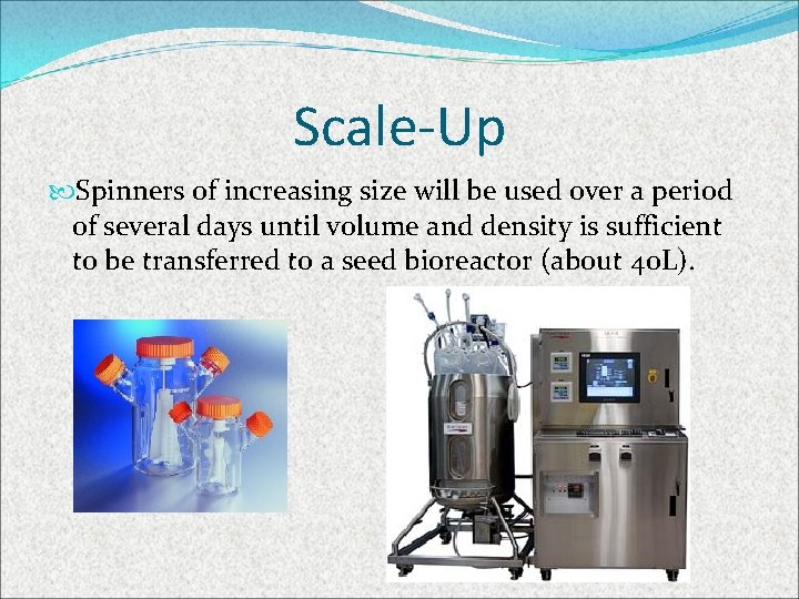 Scale-Up Spinners of increasing size will be used over a period of several days