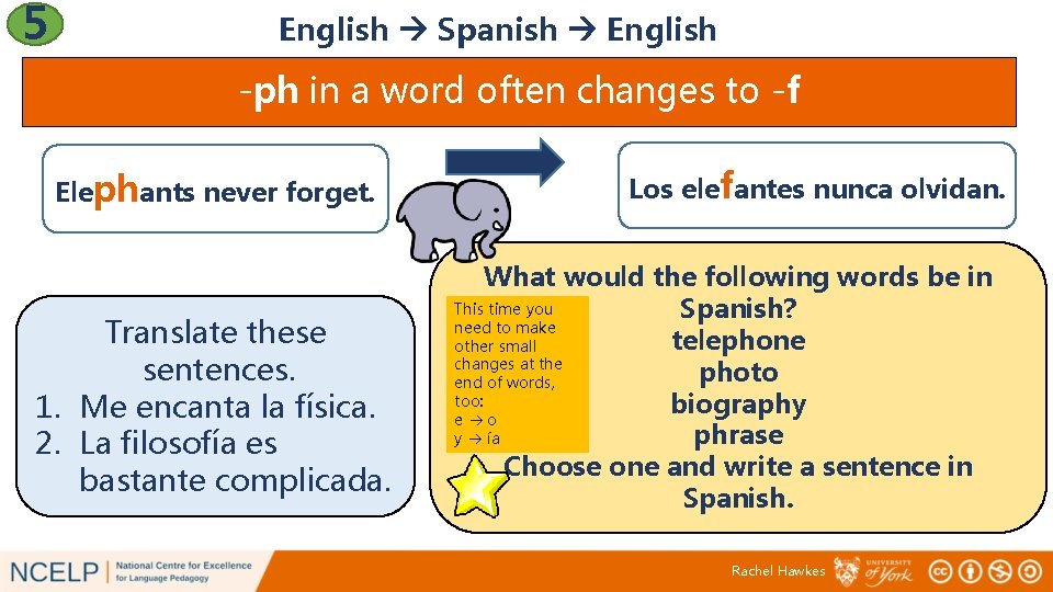 5 English Spanish English -ph in a word often changes to -f Elephants never