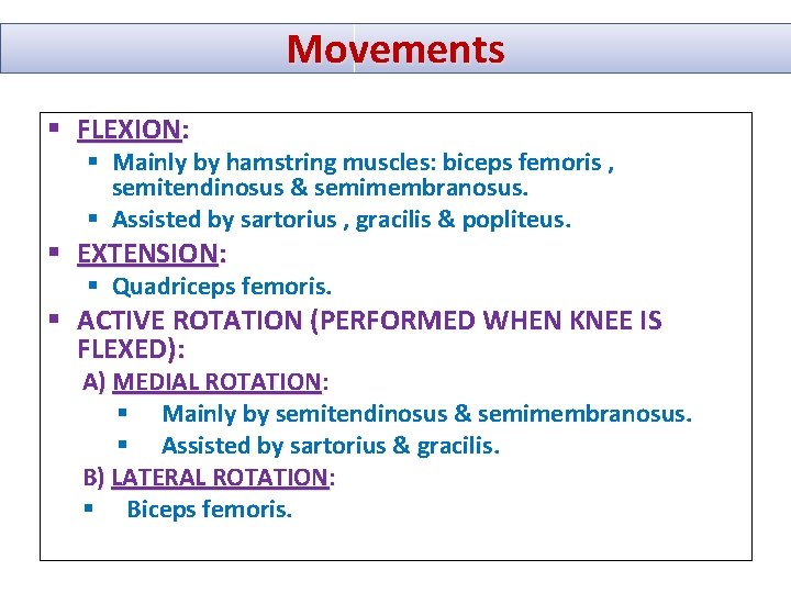 Movements § FLEXION: § Mainly by hamstring muscles: biceps femoris , semitendinosus & semimembranosus.