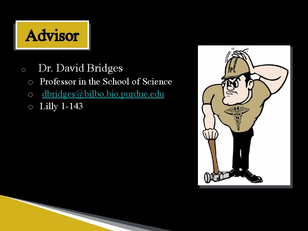 Advisor o Dr. David Bridges o Professor in the School of Science o dbridges@bilbo.