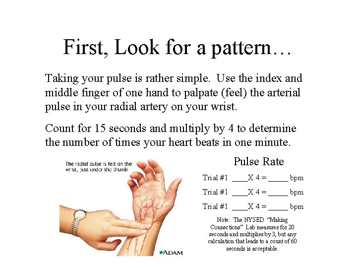 First, Look for a pattern… Taking your pulse is rather simple. Use the index