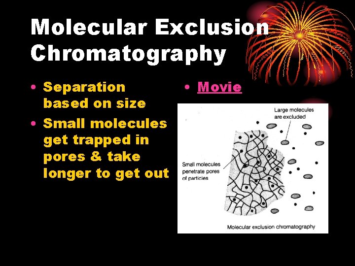 Molecular Exclusion Chromatography • Separation based on size • Small molecules get trapped in