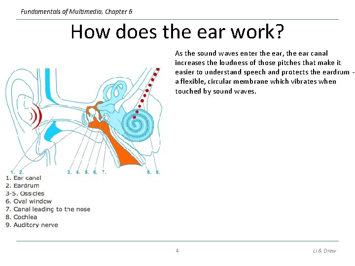 Fundamentals of Multimedia, Chapter 6 How does the ear work? As the sound waves