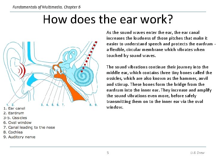 Fundamentals of Multimedia, Chapter 6 How does the ear work? As the sound waves