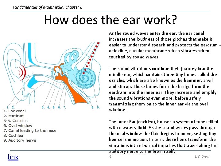 Fundamentals of Multimedia, Chapter 6 How does the ear work? As the sound waves