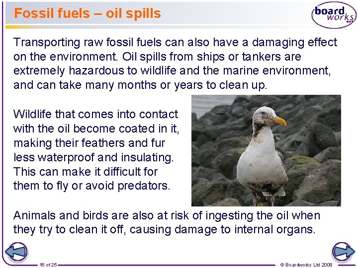 Fossil fuels – oil spills Transporting raw fossil fuels can also have a damaging