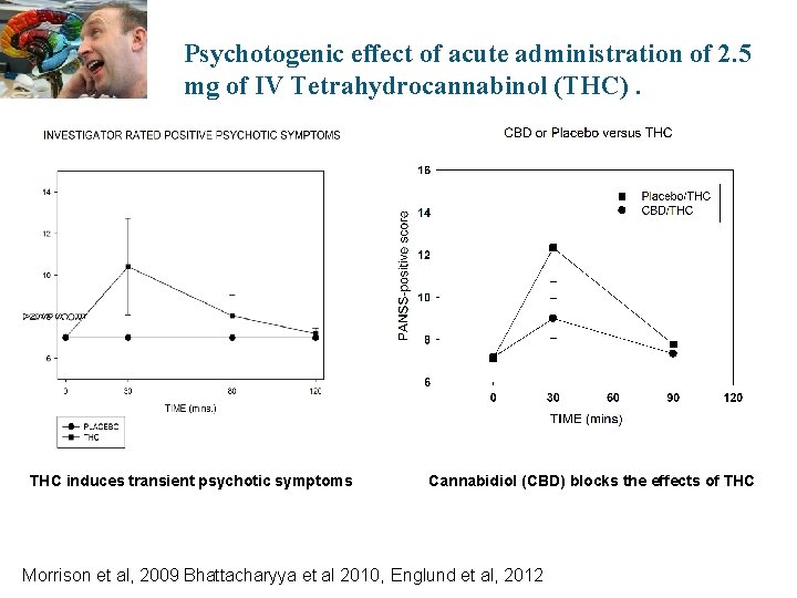 Psychotogenic effect of acute administration of 2. 5 mg of IV Tetrahydrocannabinol (THC). THC