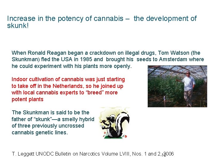 Increase in the potency of cannabis – the development of skunk! When Ronald Reagan