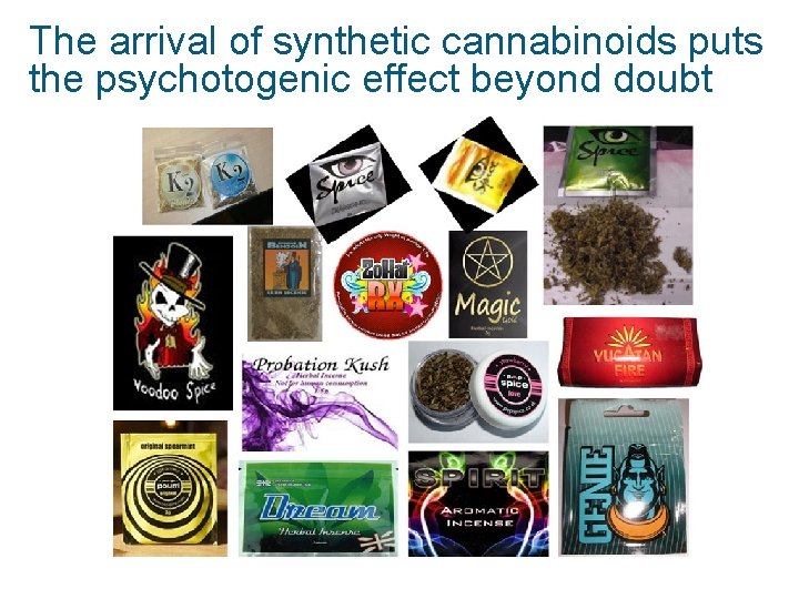 The arrival of synthetic cannabinoids puts the psychotogenic effect beyond doubt 