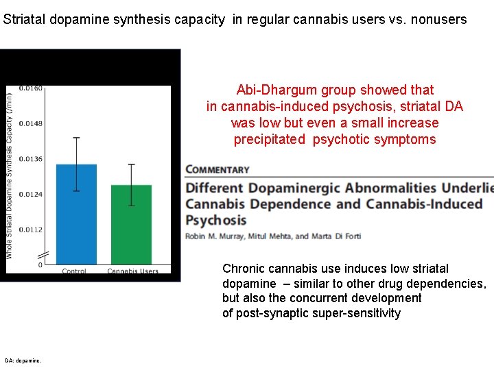 Striatal dopamine synthesis capacity in regular cannabis users vs. nonusers [18 F]DOPA striatal uptake