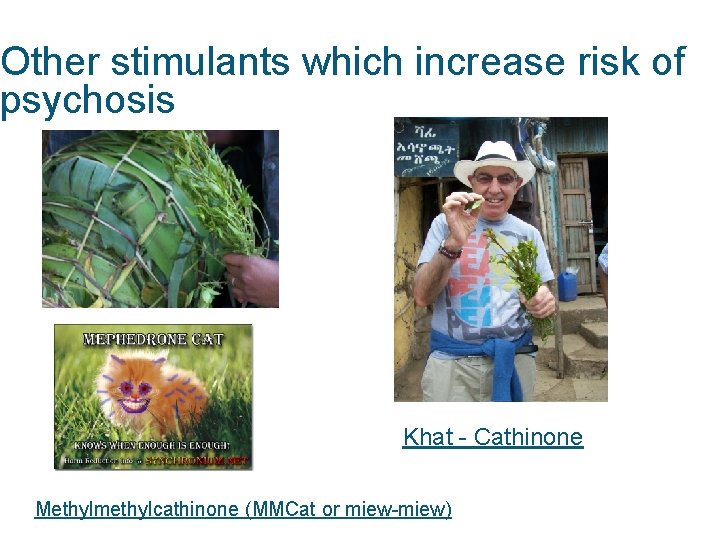 Other stimulants which increase risk of psychosis Khat - Cathinone Methylmethylcathinone (MMCat or miew-miew)