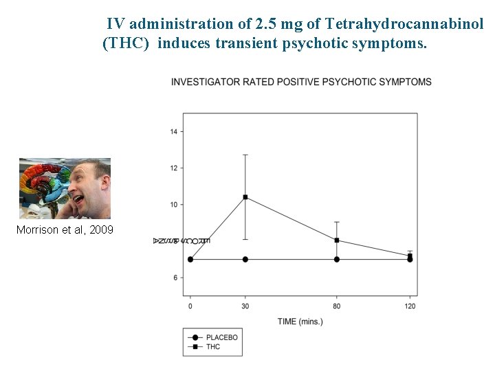 IV administration of 2. 5 mg of Tetrahydrocannabinol (THC) induces transient psychotic symptoms. Morrison