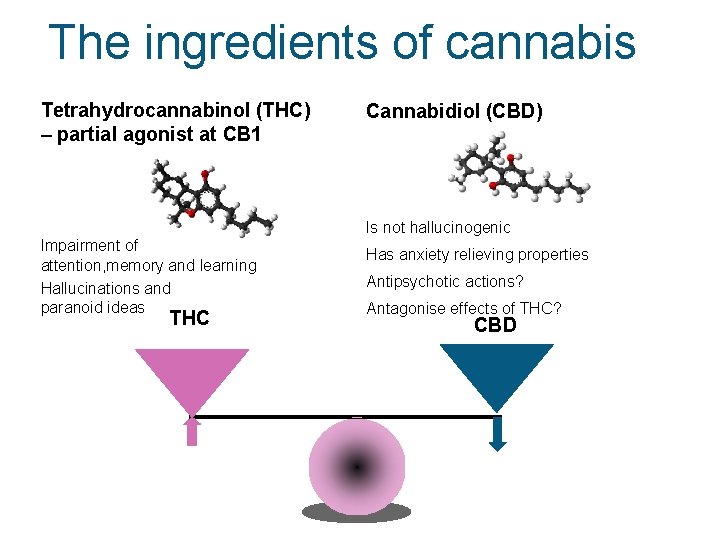 The ingredients of cannabis Tetrahydrocannabinol (THC) – partial agonist at CB 1 Cannabidiol (CBD)