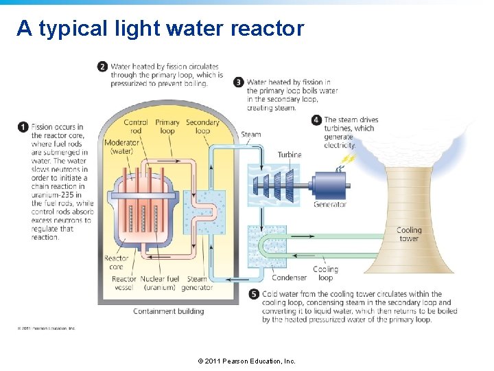 A typical light water reactor © 2011 Pearson Education, Inc. 