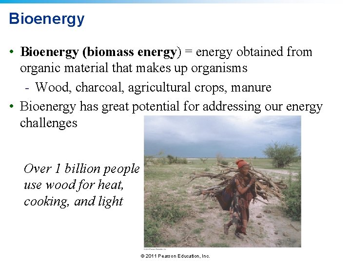 Bioenergy • Bioenergy (biomass energy) = energy obtained from organic material that makes up