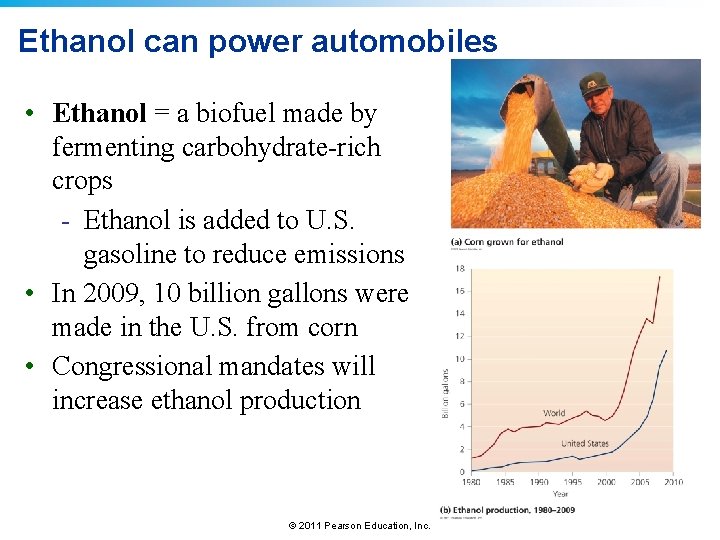 Ethanol can power automobiles • Ethanol = a biofuel made by fermenting carbohydrate-rich crops