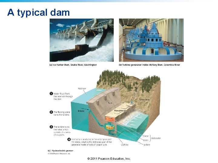A typical dam © 2011 Pearson Education, Inc. 