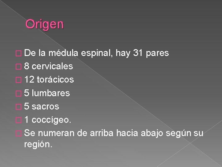 Origen � De la médula espinal, hay 31 pares � 8 cervicales � 12