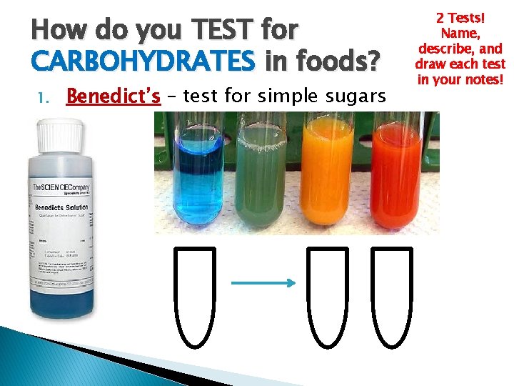 How do you TEST for CARBOHYDRATES in foods? 1. Benedict’s – test for simple